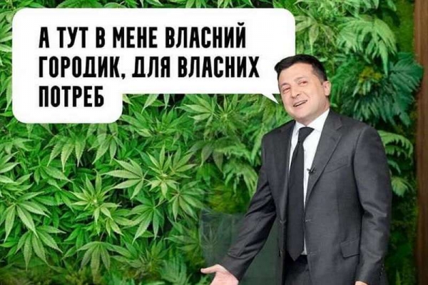 Соцсети высмеяли «джунгли» в кабинете Зеленского