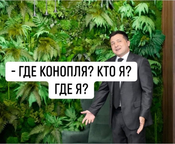Соцсети высмеяли «джунгли» в кабинете Зеленского