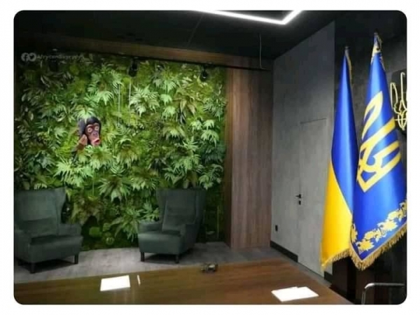 Соцсети высмеяли «джунгли» в кабинете Зеленского