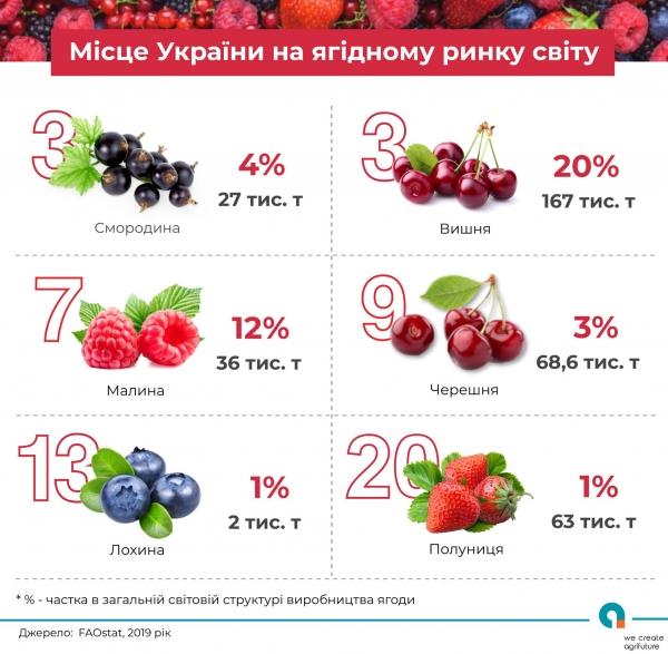 
Украина входит в тройку стран-производителей популярных ягод
