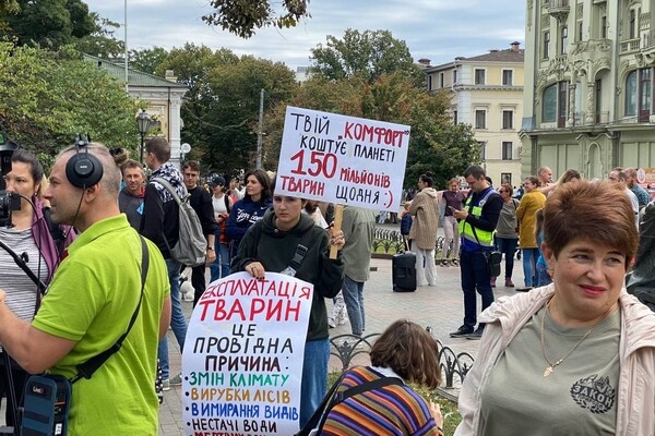 Собрались сотни людей: смотри, как в Одессе проходит Марш в защиту животных