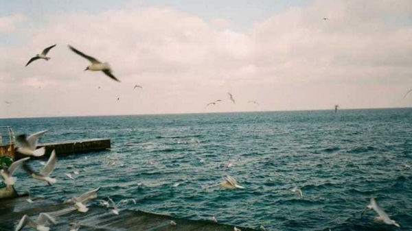 Одесса впервые вылетела из топ-10 самых популярных морских курортов Украины