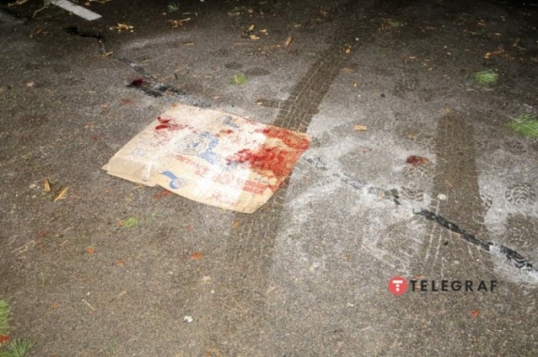Под Киевом дерево упало на авто и вызвало ДТП: у пострадавшего оторвало ногу