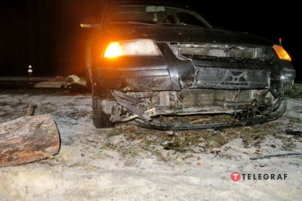 Под Киевом дерево упало на авто и вызвало ДТП: у пострадавшего оторвало ногу