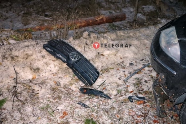 Под Киевом дерево упало на авто и вызвало ДТП: у пострадавшего оторвало ногу