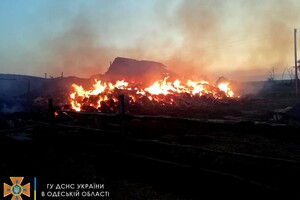Еще два судна с украинским зерном вышли из портов Одесской области