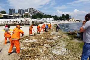 Свежий мониторинг воды в Одессе: что нашли 13 июня 