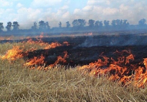 За сутки в Одесской области горело почти шесть гектаров сухой травы