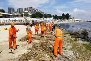 Свежий мониторинг воды в Одессе: что нашли 13 июня 