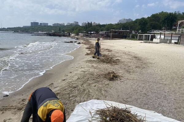Свежий мониторинг воды в Одессе: что нашли 13 июня 