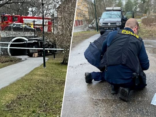 Поліція безсила: уряд Швеції кидає армію на боротьбу з небувалою хвилею вбивств