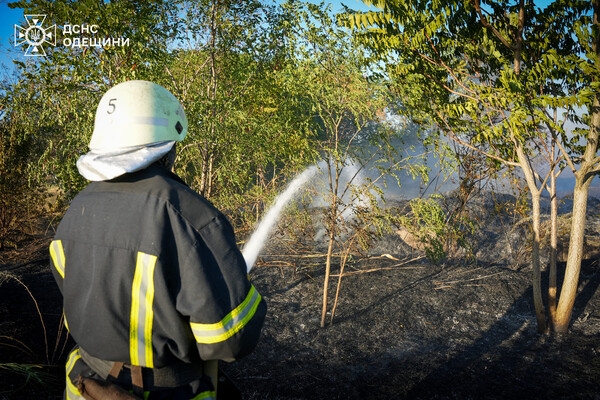 В Одессе вспыхнул масштабный пожар на полях орошения: возгорание гасили в течение нескольких часов