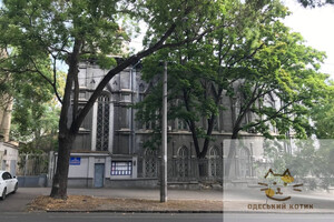 Новые названия топонимов: кто такой Святослав Караванский и почему в его честь переименовали улицу Жуковского в Одессе