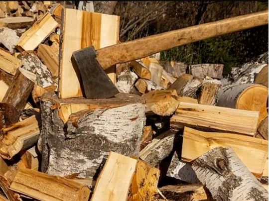 7 років в’язниці за 15 кубів: за що українці можуть отримати вже в листопаді таке покарання, якщо президент підпише ухвалений ВР закон